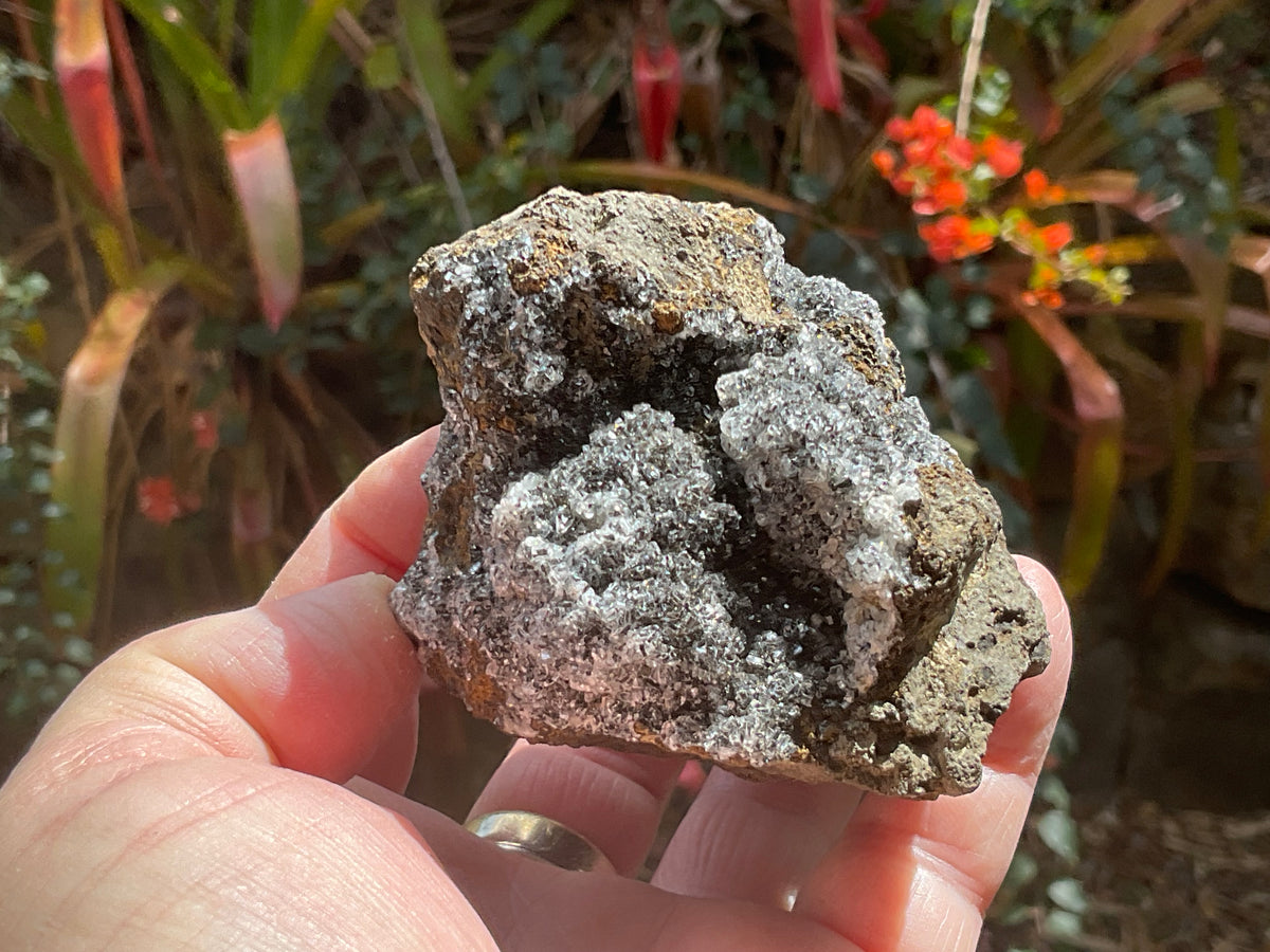 338g “Black Apophyllite” Specimen 2C from Indonesia