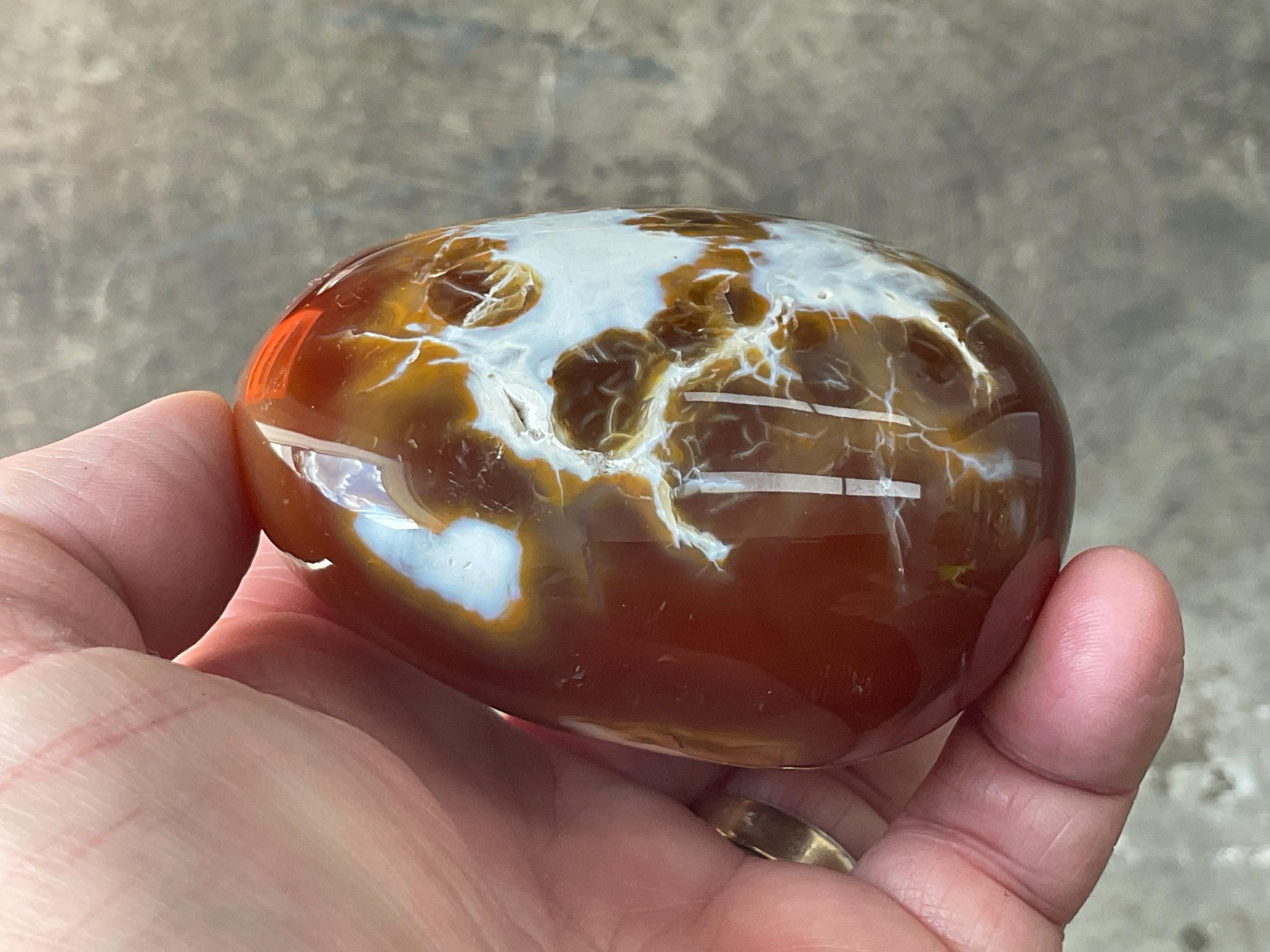 344g Carnelian Orca Freeform 8B