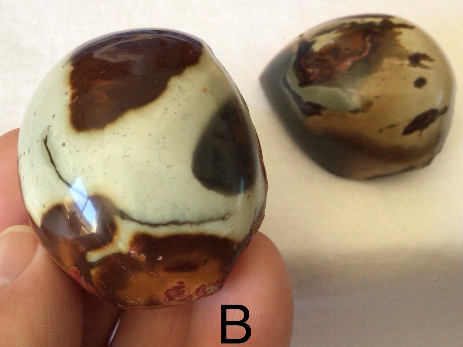 Polychrome Jasper One Side Polished Group 6