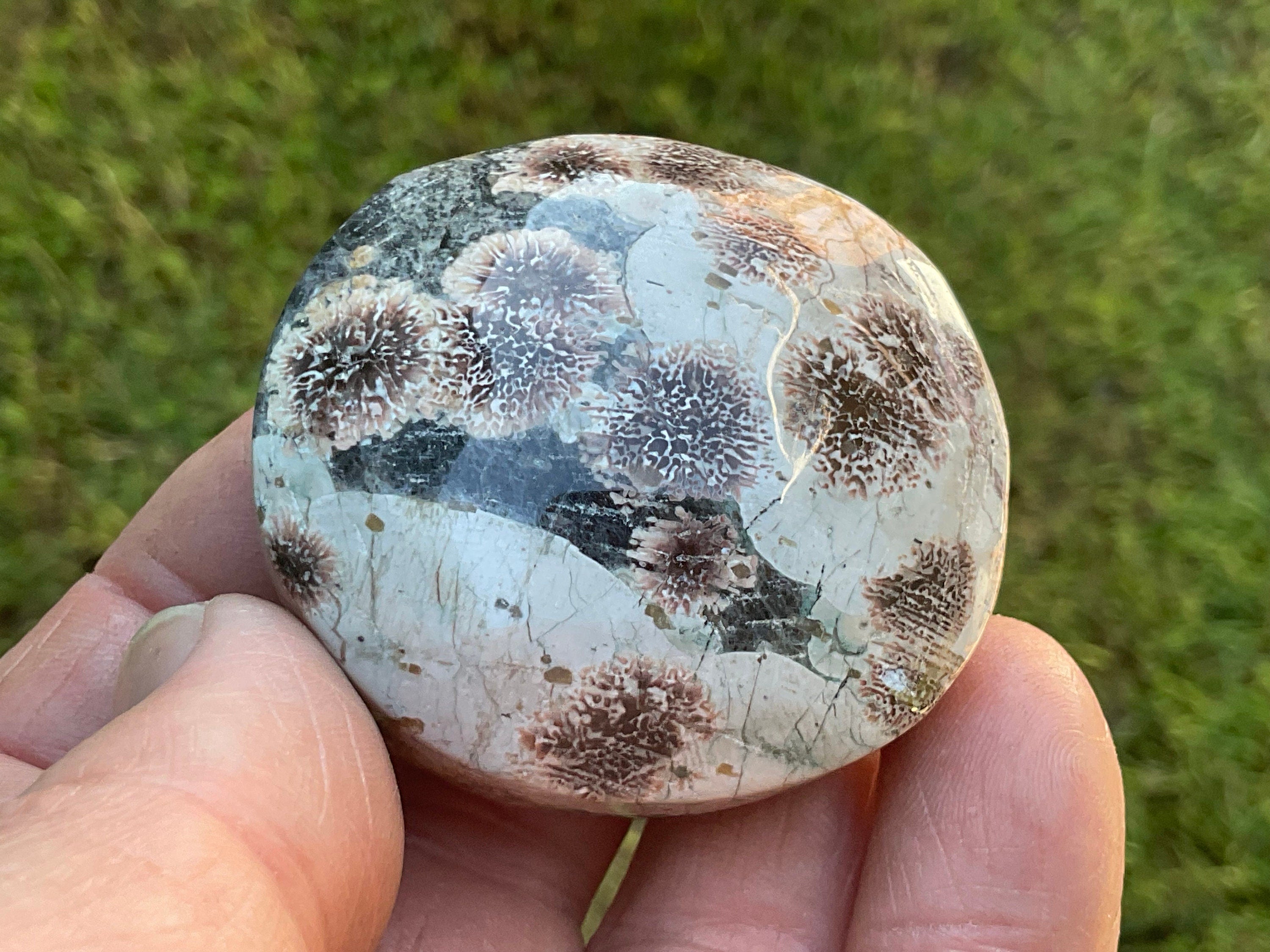 78g Green Cherry Blossom Jasper Palmstone 5B
