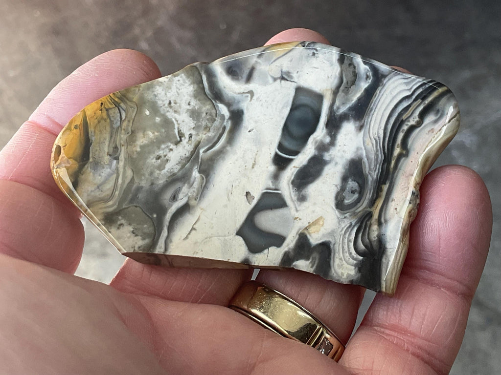 44g Polished Stromatolite Slice from Western Australia
