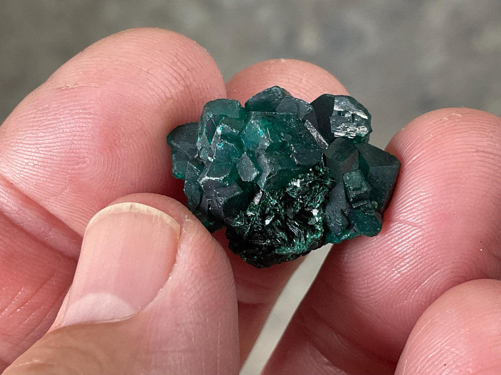 RESERVED FOR ASHRA ** 6g Congolese Dioptase Specimen B