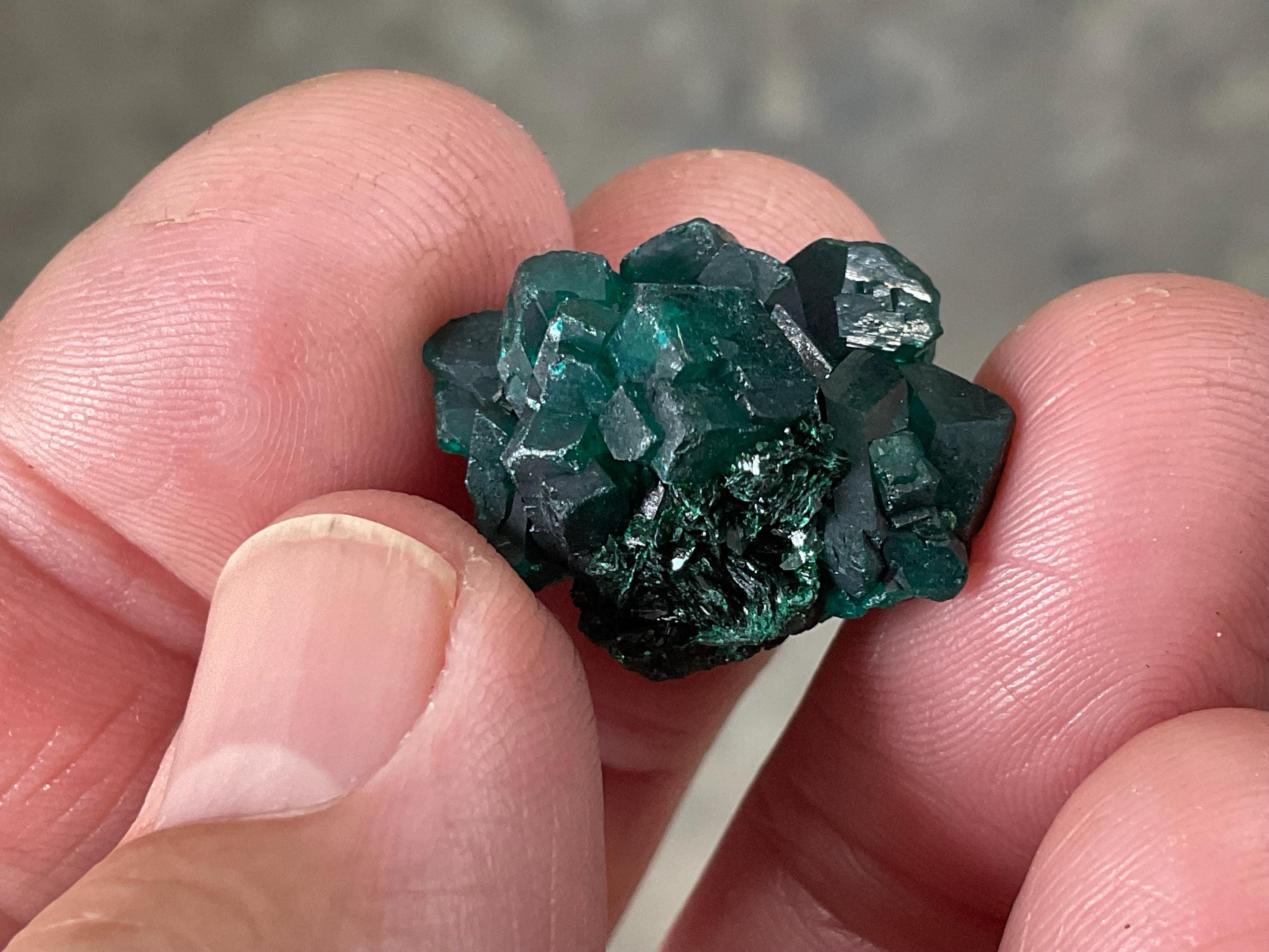 RESERVED FOR ASHRA ** 6g Congolese Dioptase Specimen B