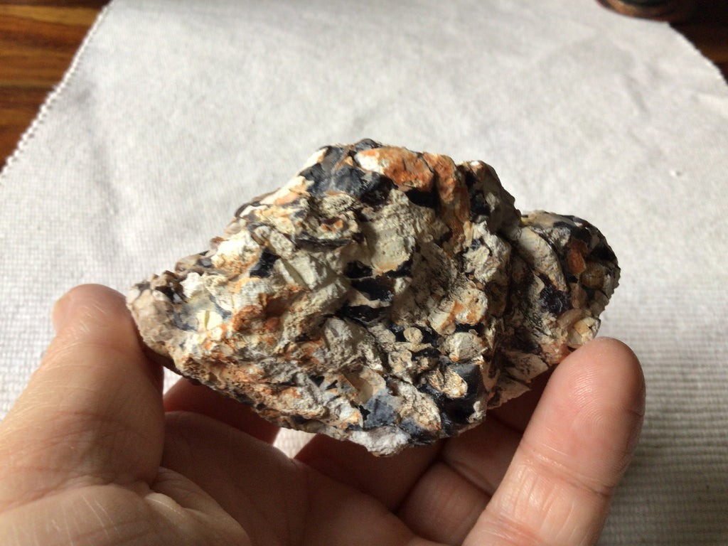 167g Western Australian Peanut Wood Rough Piece 7B