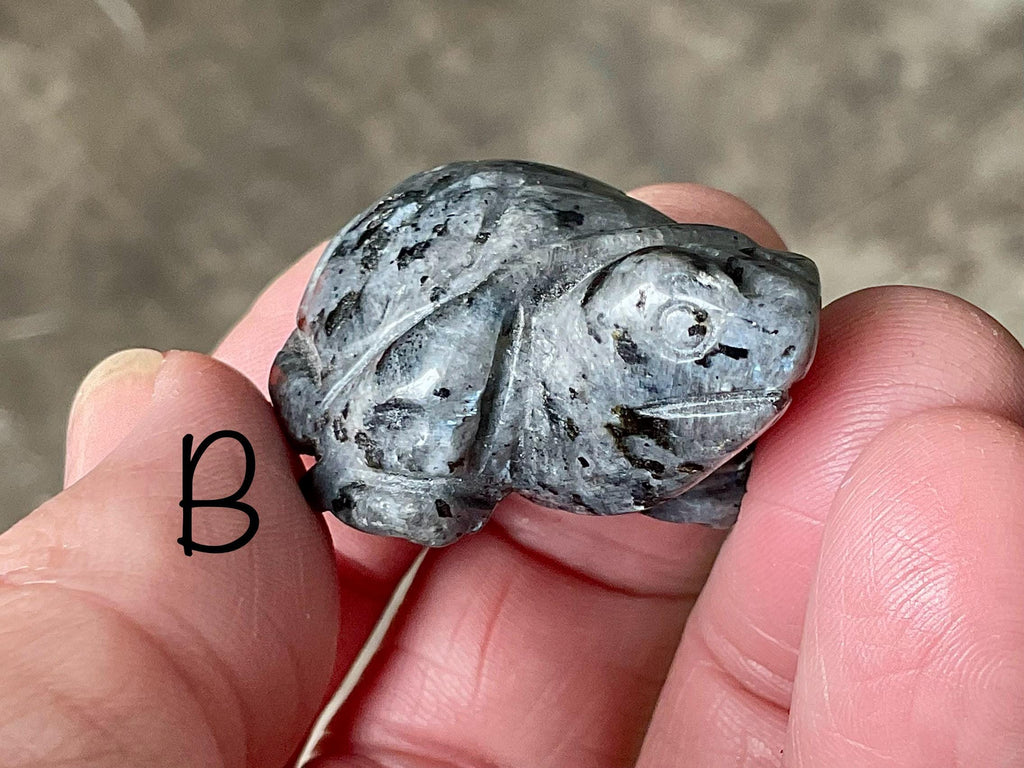 Larvikite Small Turtle Group 2