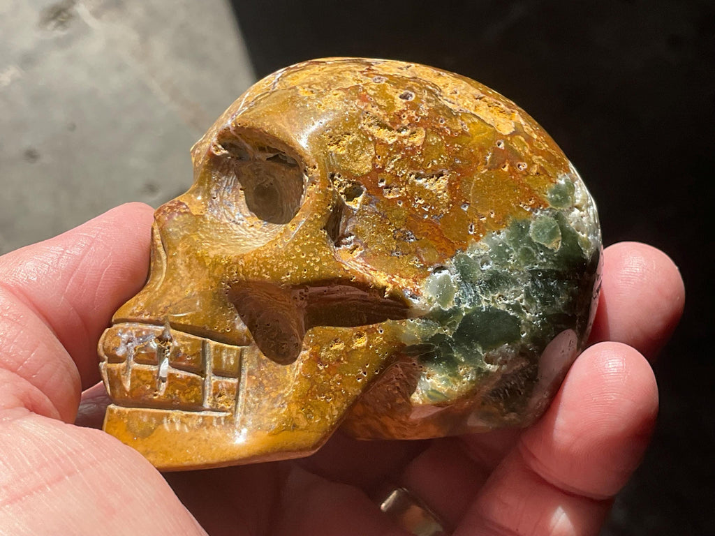 304g Ocean Jasper Skull B