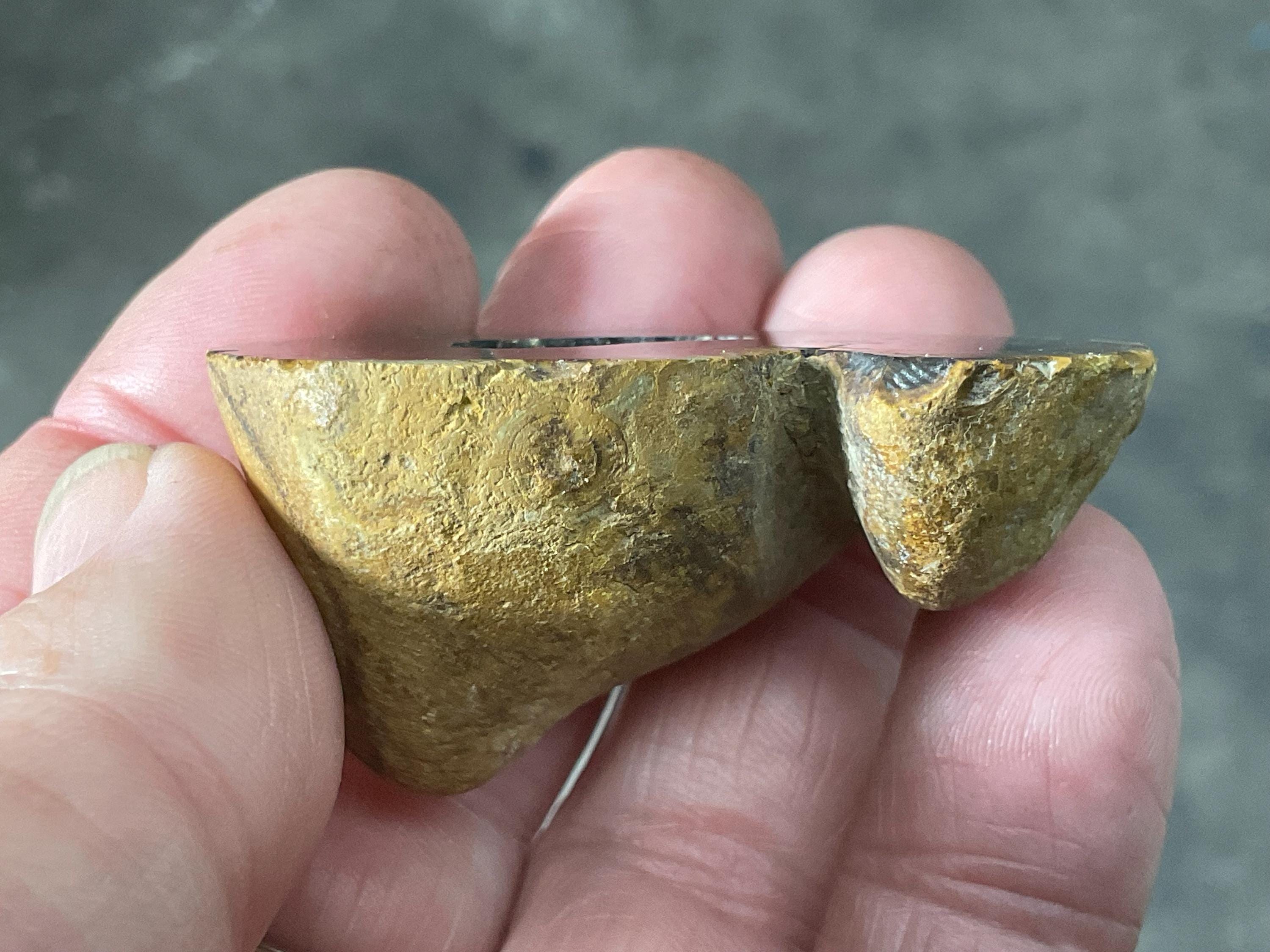 50g UV Reactive Polished Agate Half 2A