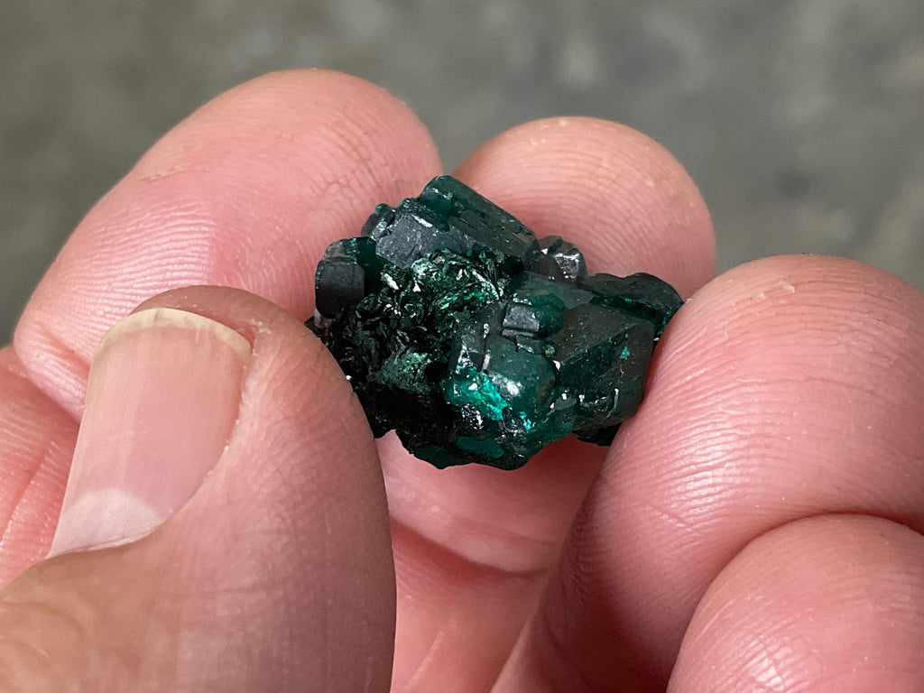 RESERVED FOR ASHRA ** 6g Congolese Dioptase Specimen B
