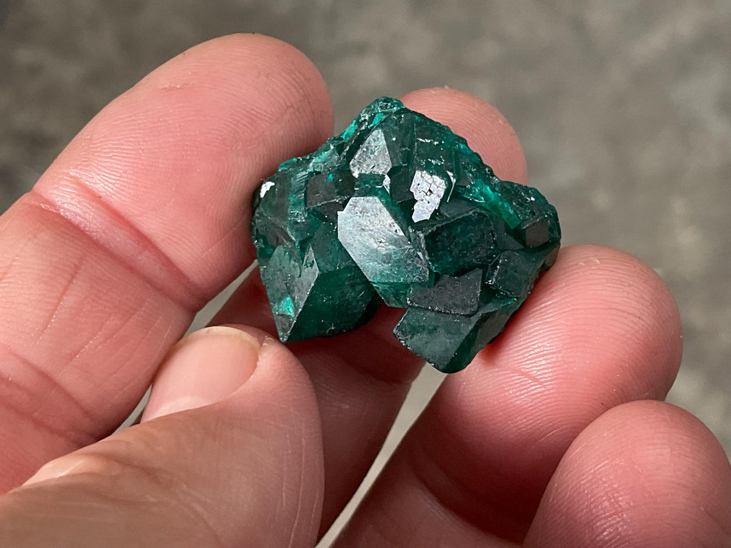 RESERVED FOR ASHRA** 10g Congolese Dioptase Specimen C