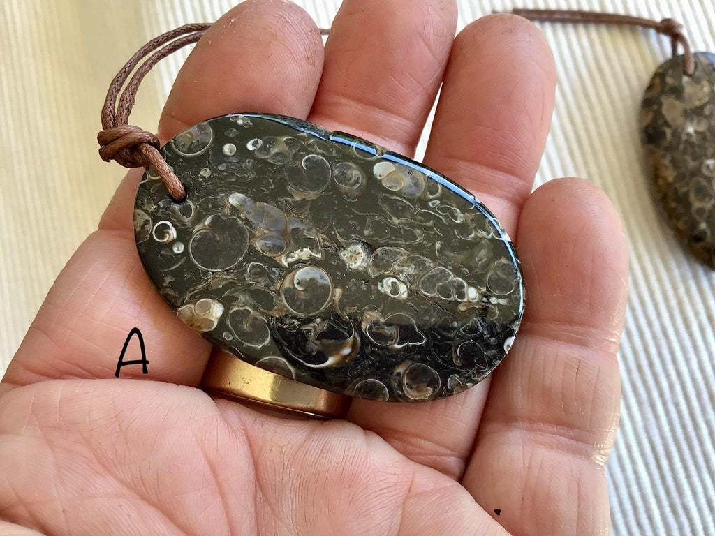 Large Turitella Agate Polished Pendant 1A