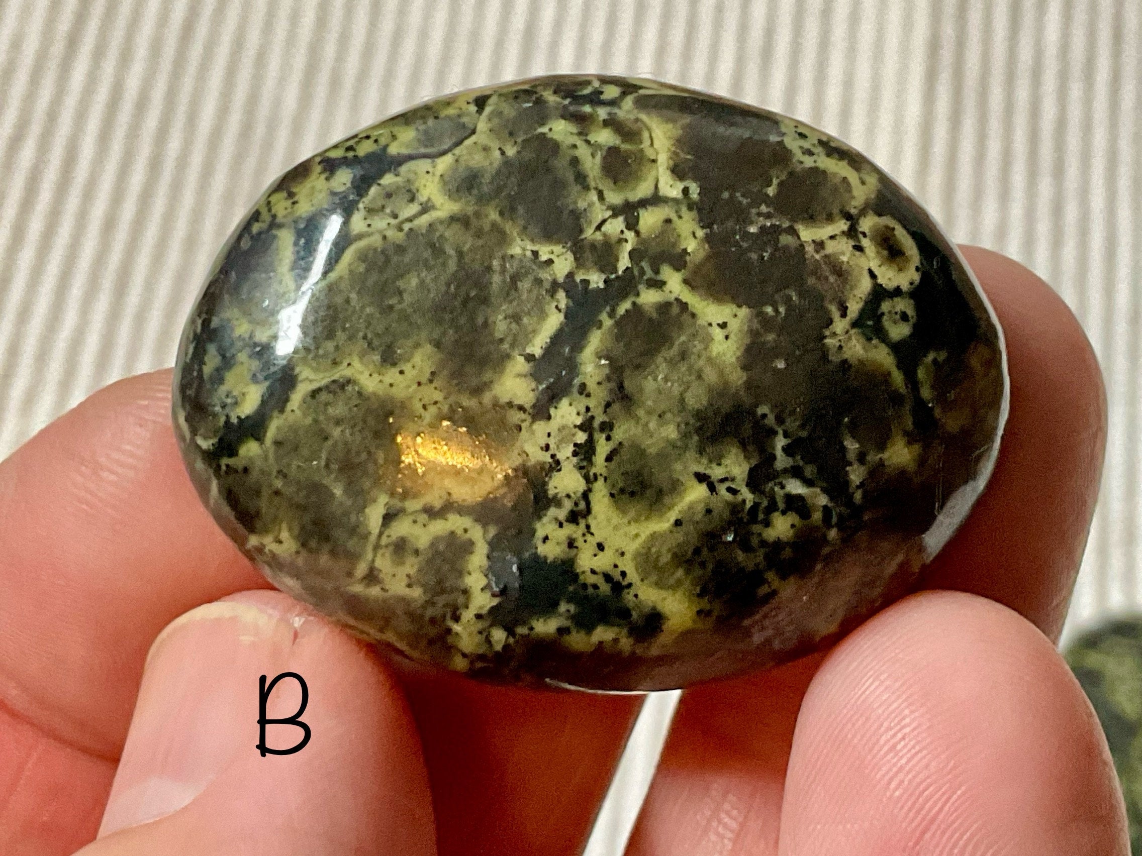Pakistan Snakeskin Jasper (Asterite) Thumb Stone Group 2