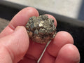 28g Natural Indonesian Pyrite after Marcasite Nodule 2A