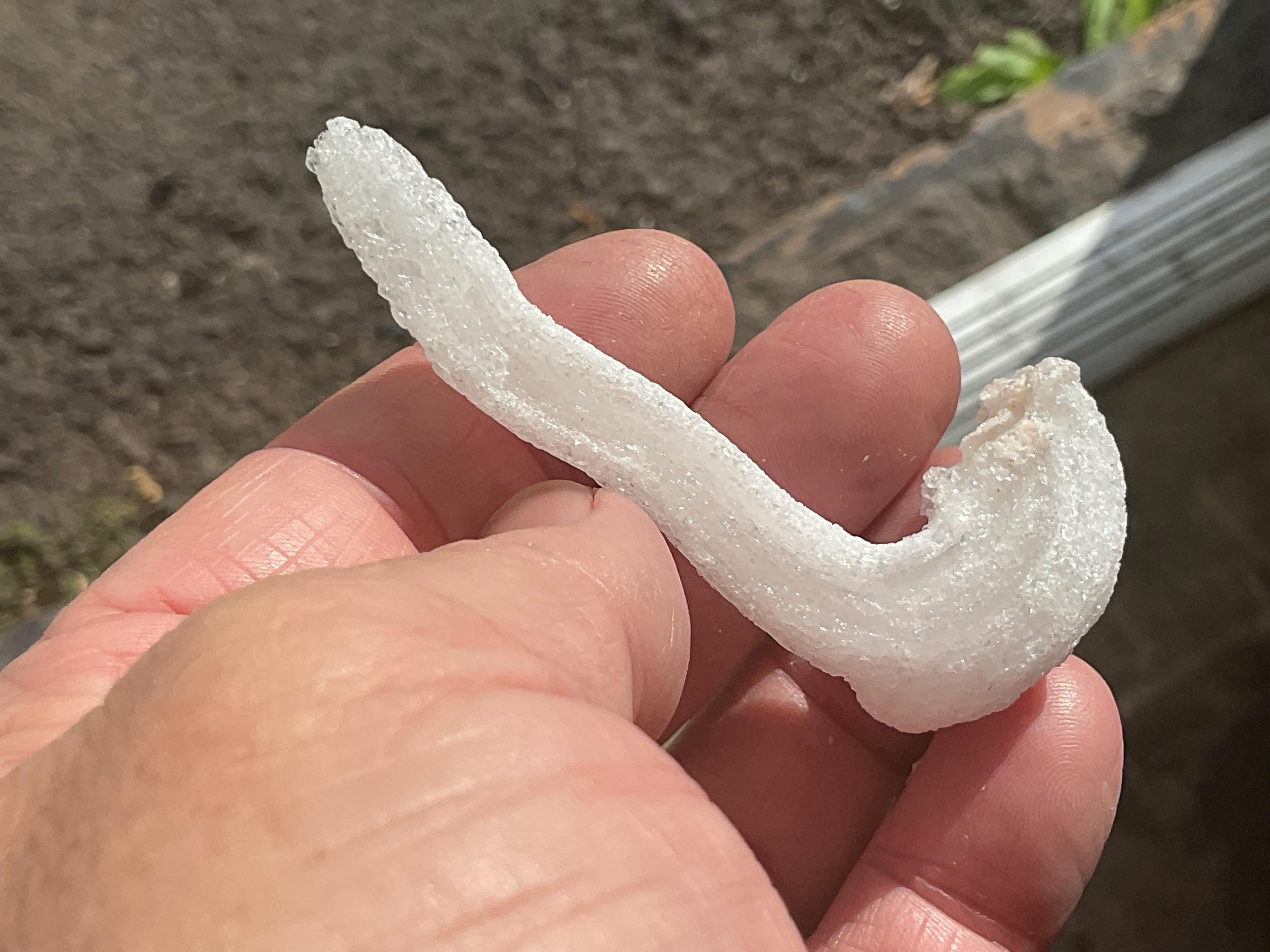 14g Rams Horn Selenite Specimen 5A