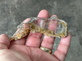 30g “Garden Selenite” Specimen 1A