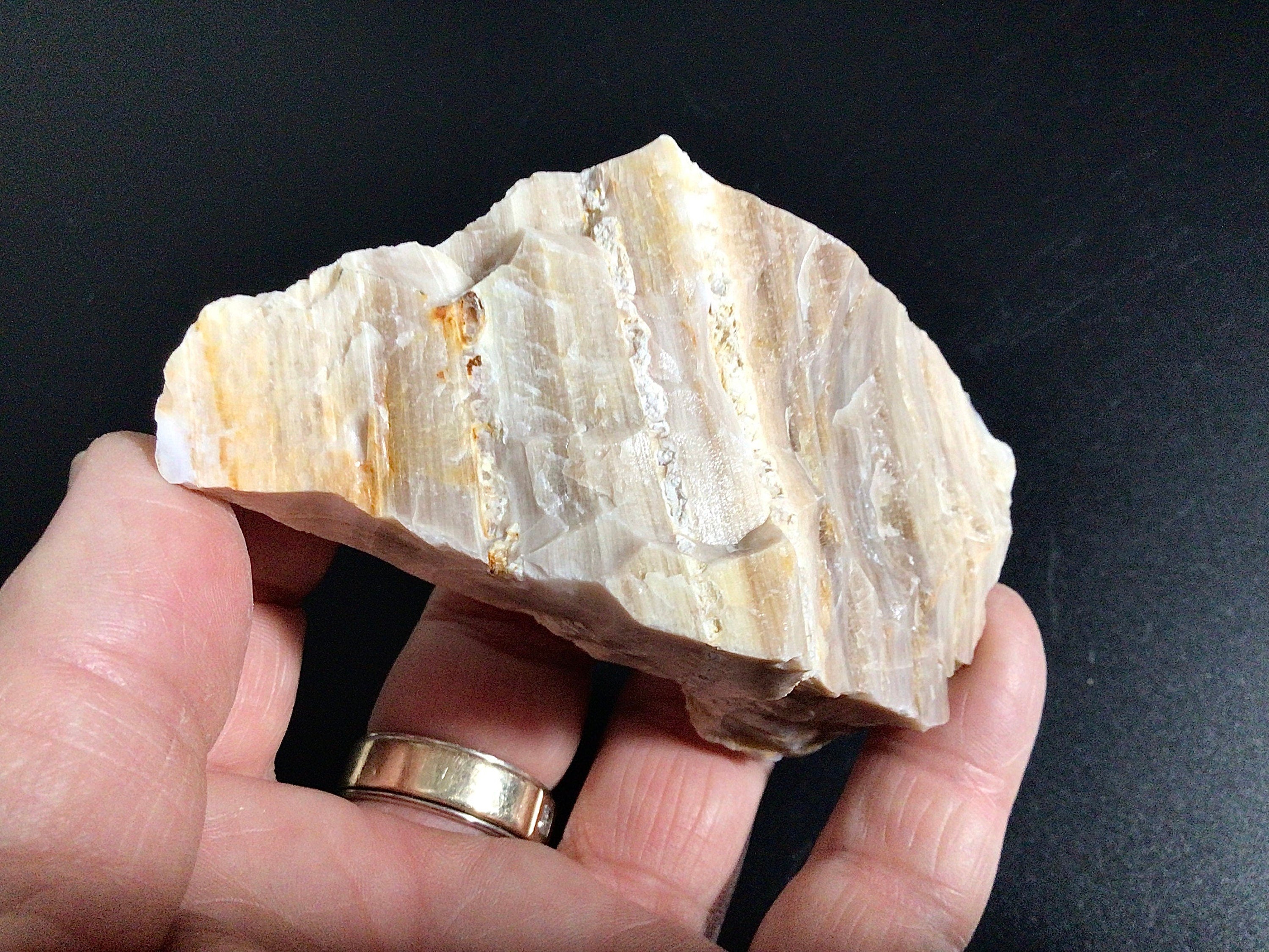 100g Natural Opalised Wood Rough Piece 2A