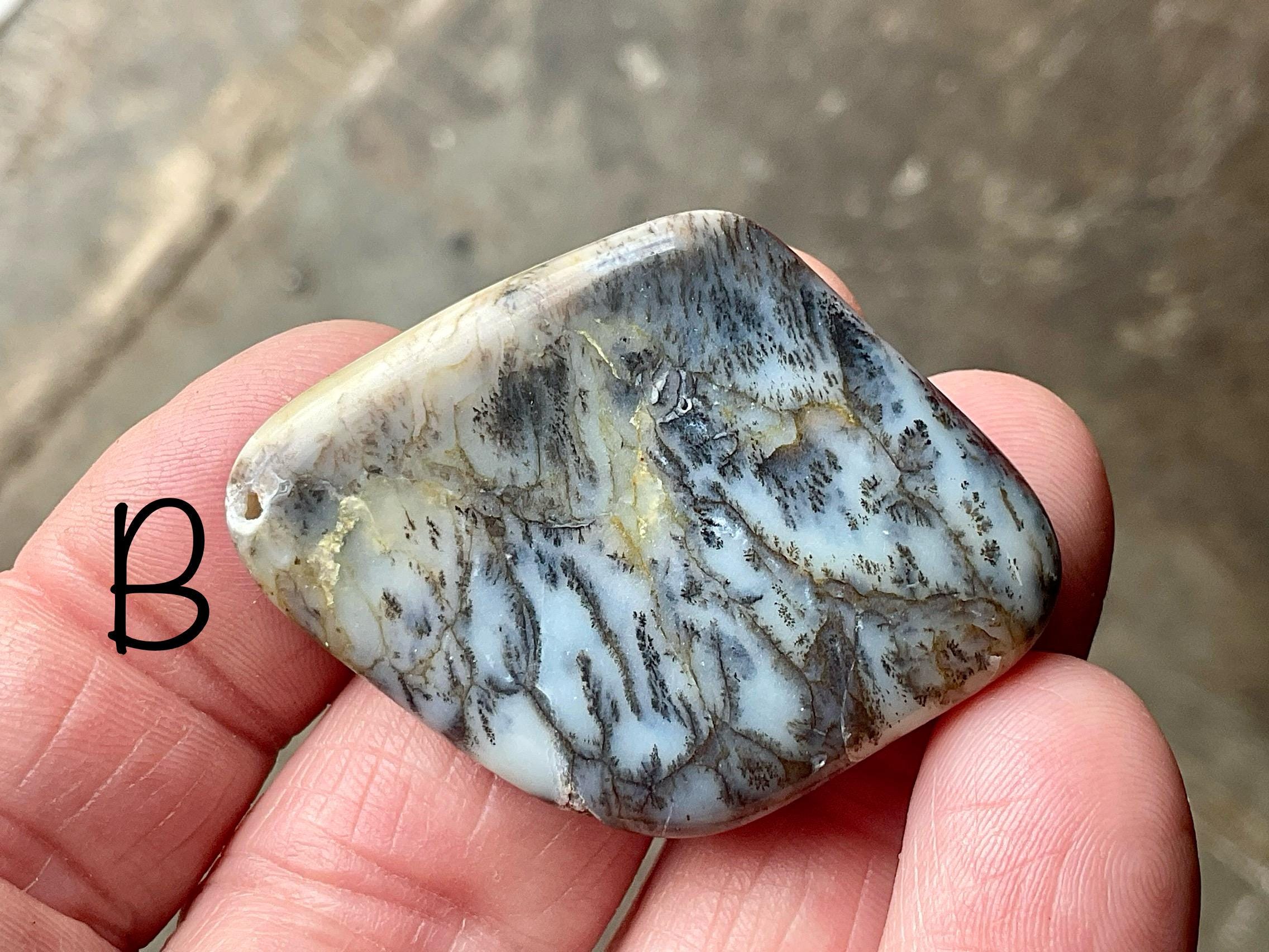 Grey/Green Western Australian Dendritic Opalite Flat Stone Group