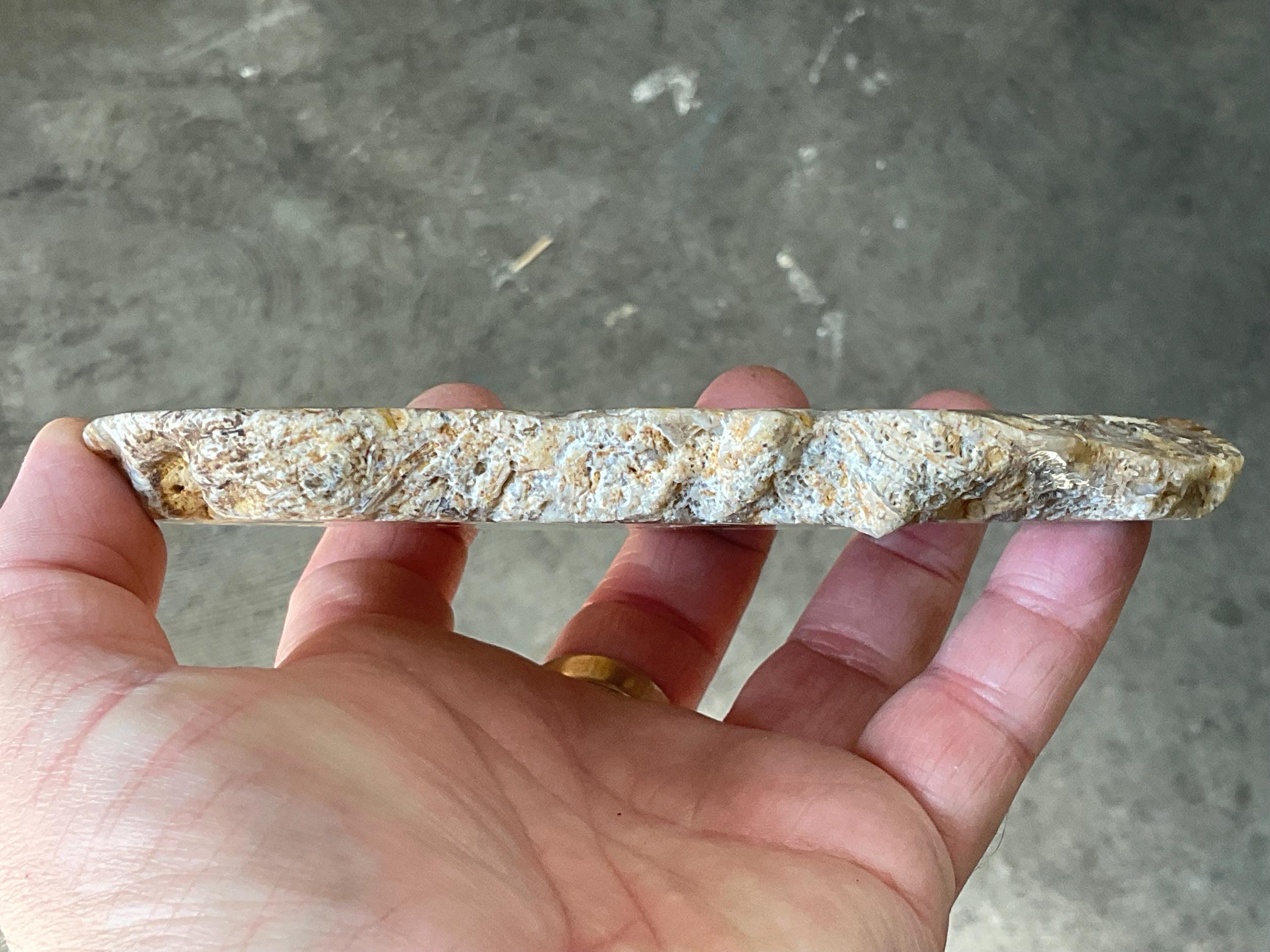 236g Fossilized/Agatised Coral Slab 3C