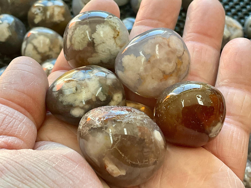 Black Flower Agate Tumbles