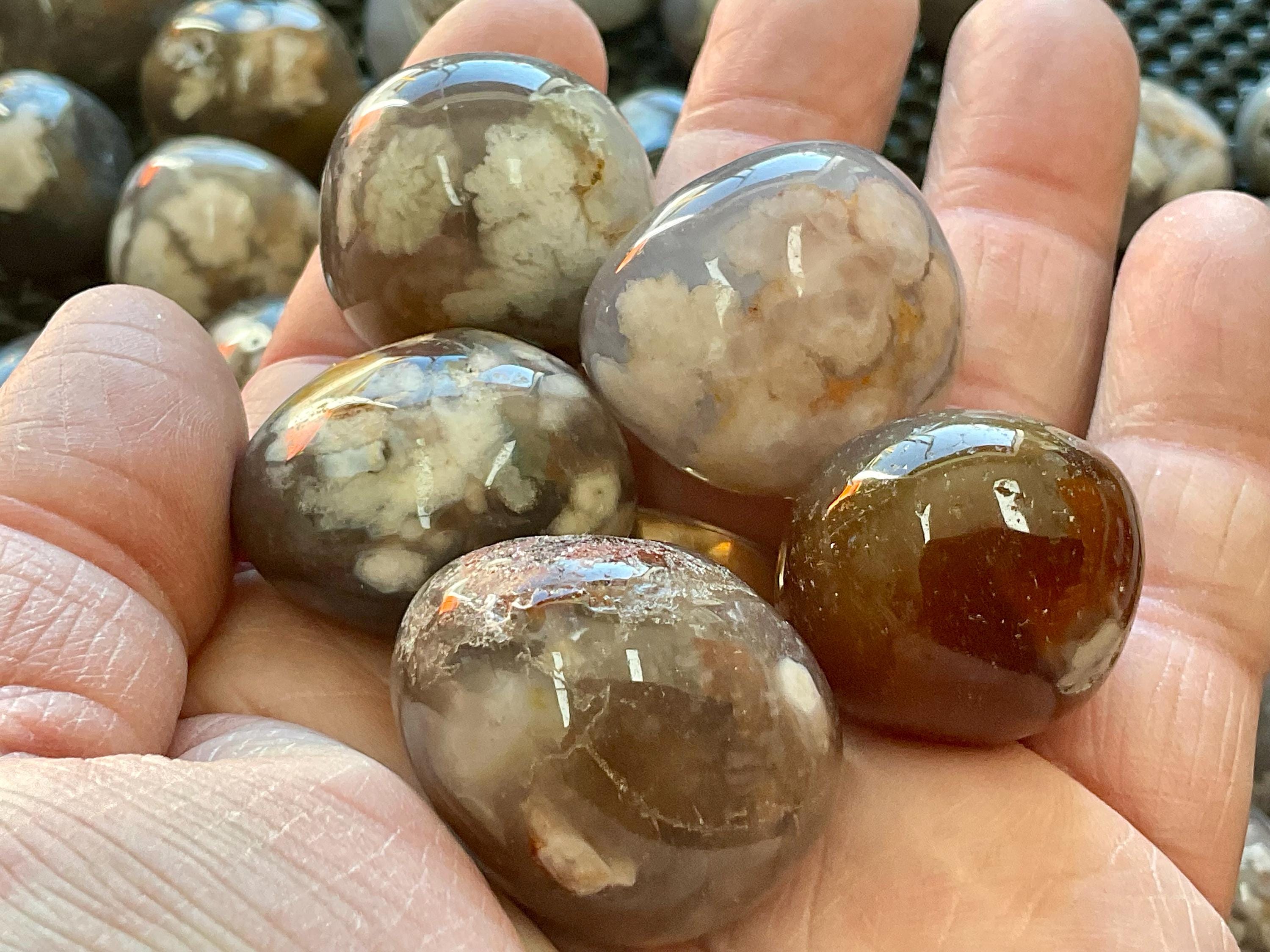 Black Flower Agate Tumbles