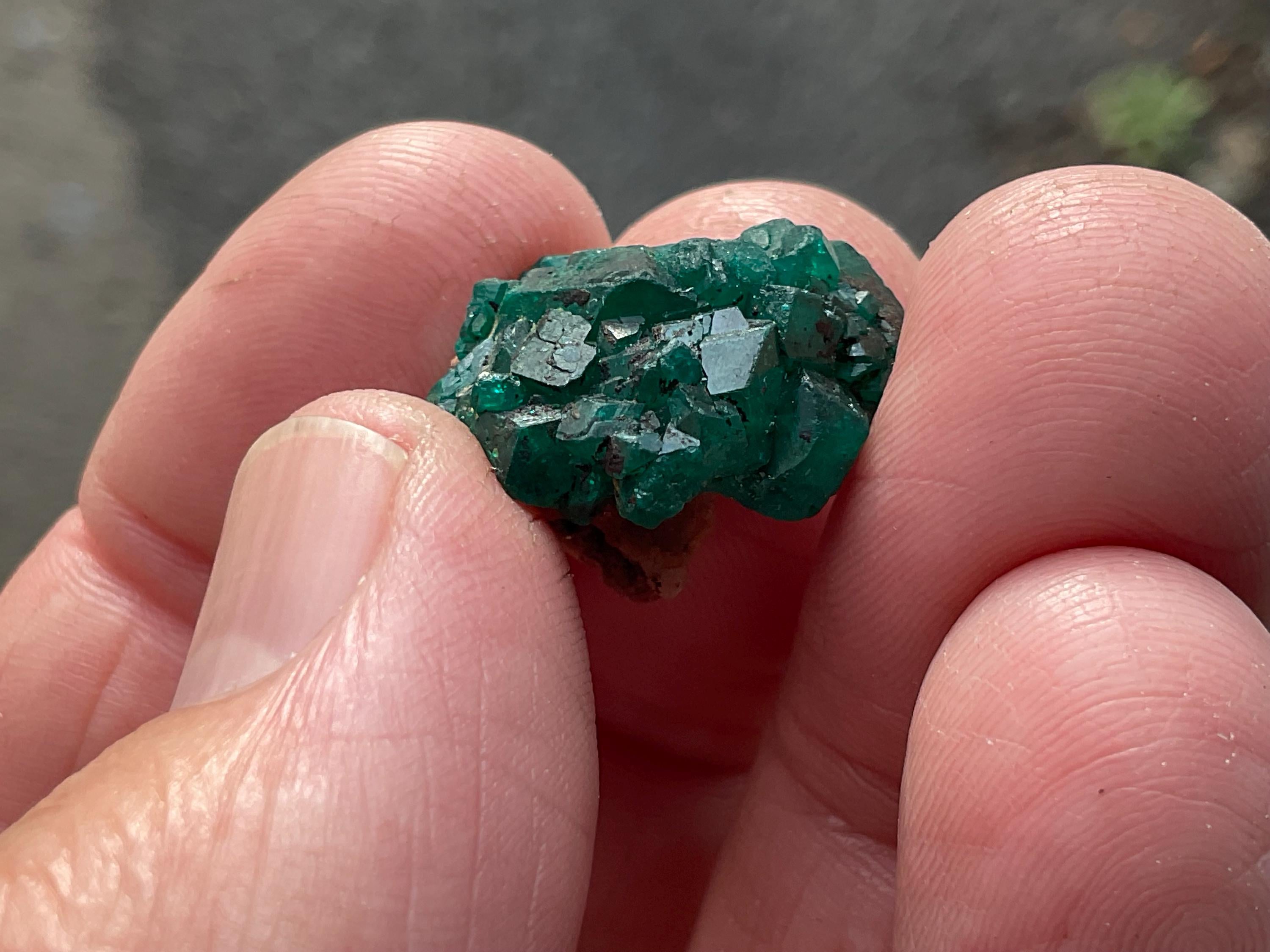 RESERVED FOR ASHRA ** 4g Congolese Dioptase Specimen A