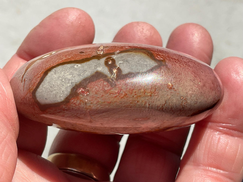 106g Polychrome Jasper Palmstone 24B