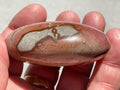 106g Polychrome Jasper Palmstone 24B