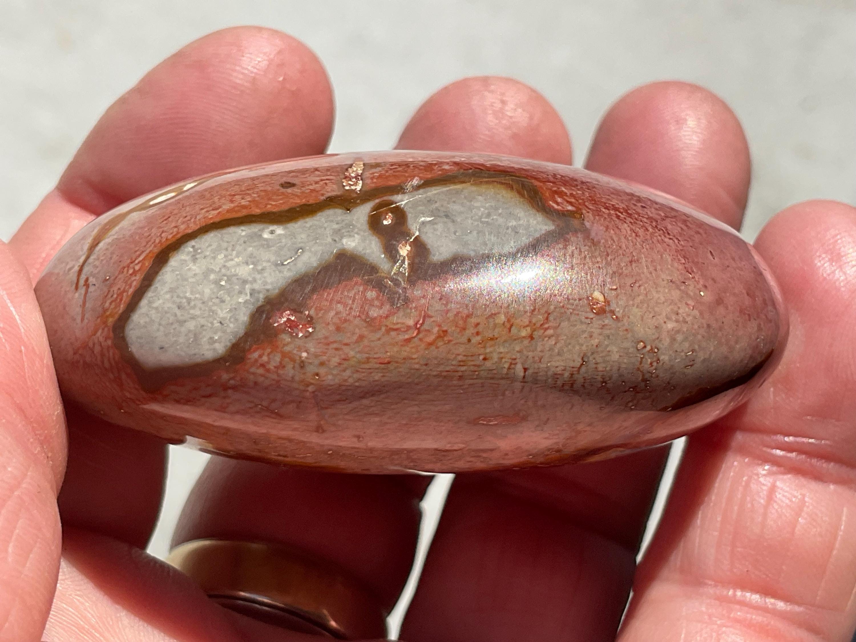 106g Polychrome Jasper Palmstone 24B