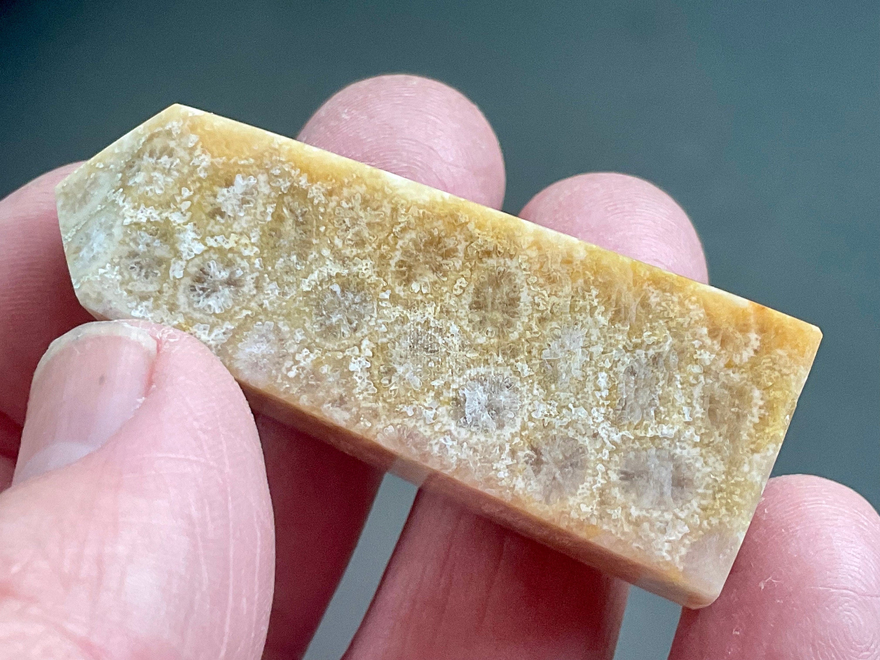 32g Fossilised Coral Generator 1B