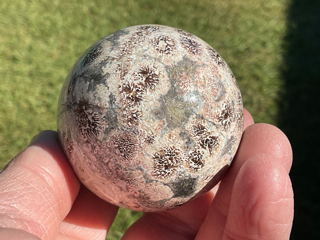 202g Green Cherry Blossom Jasper Sphere 5A