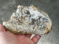 236g Fossilized/Agatised Coral Slab 3C