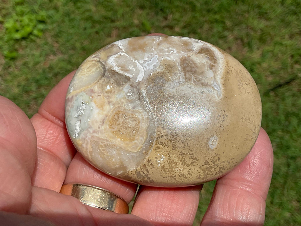 110g King Cobra Palmstone 2D