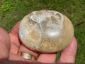110g King Cobra Palmstone 2D