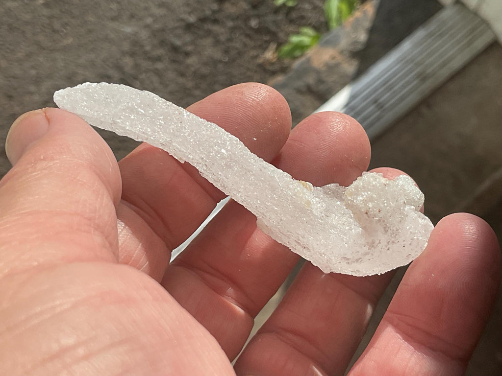 18g Rams Horn Selenite Specimen 5C