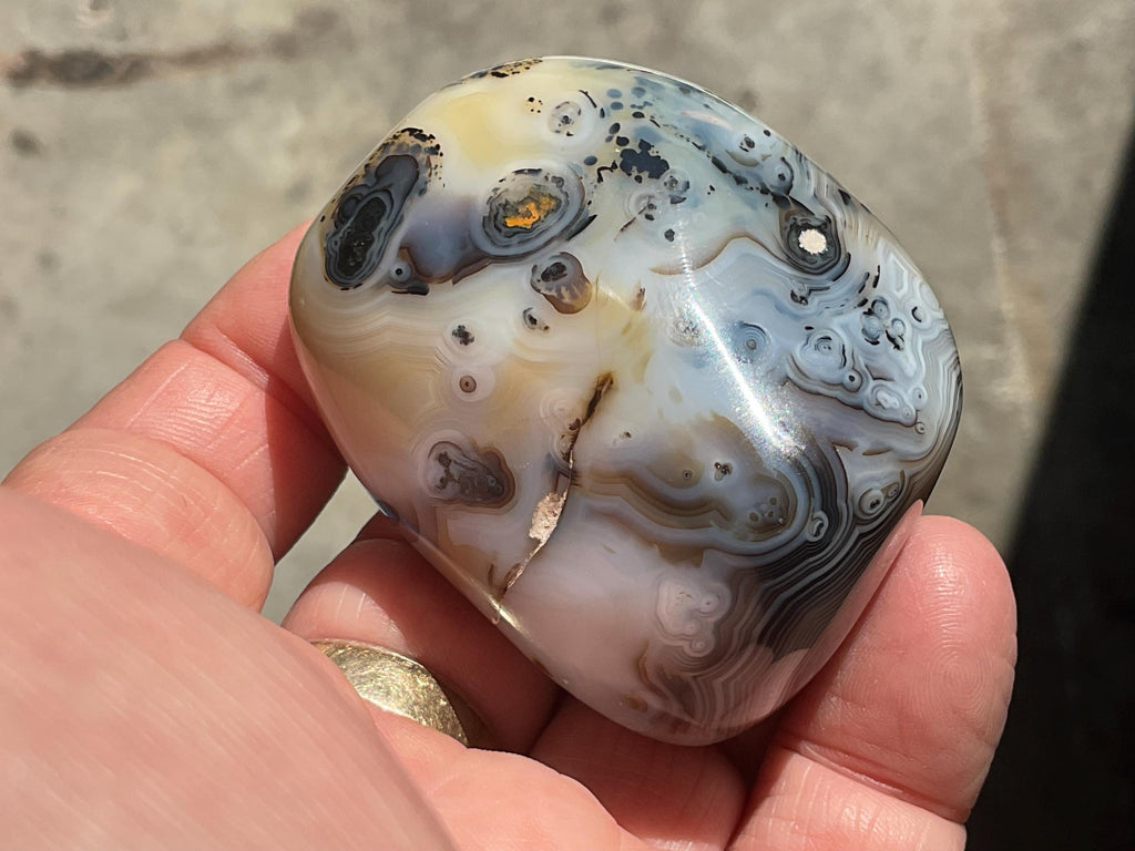 118g Dendritic Agate Palmstone A