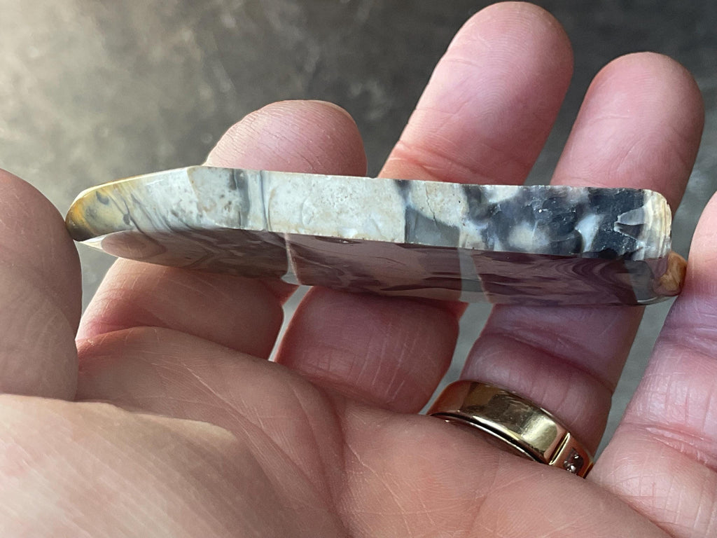 44g Polished Stromatolite Slice from Western Australia
