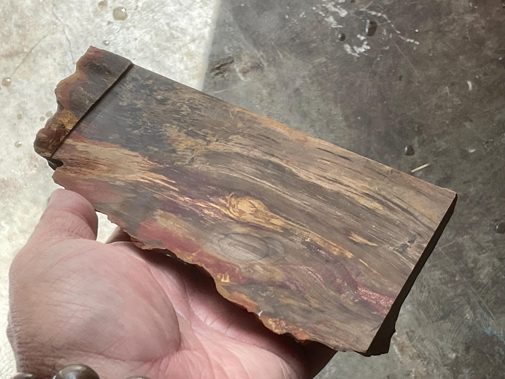 1,148g Unpolished Chinchilla Red Petrified Wood Split Pair