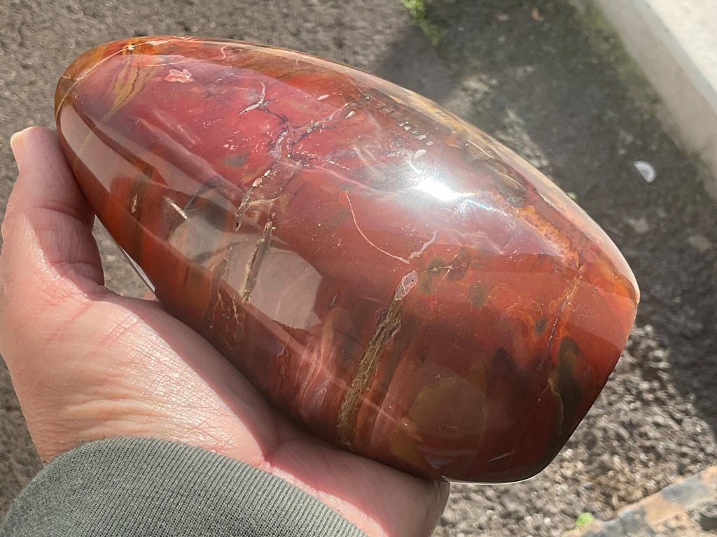 1.5kg Red Petrified Wood Freeform from Madagascar