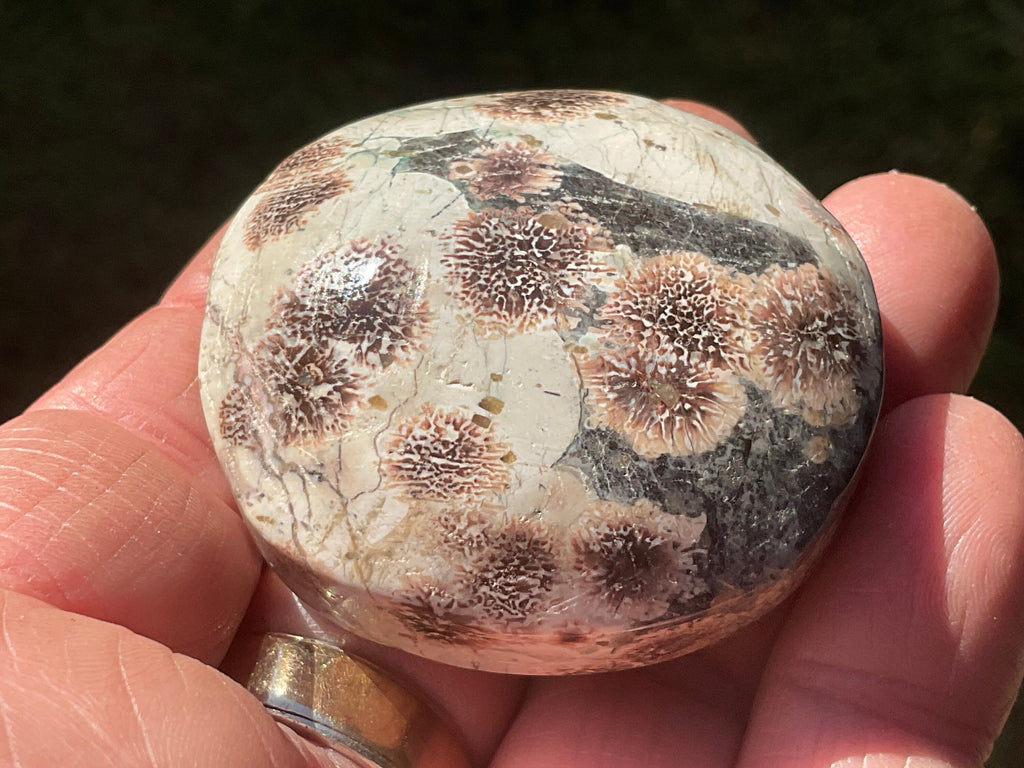 78g Green Cherry Blossom Jasper Palmstone 5B