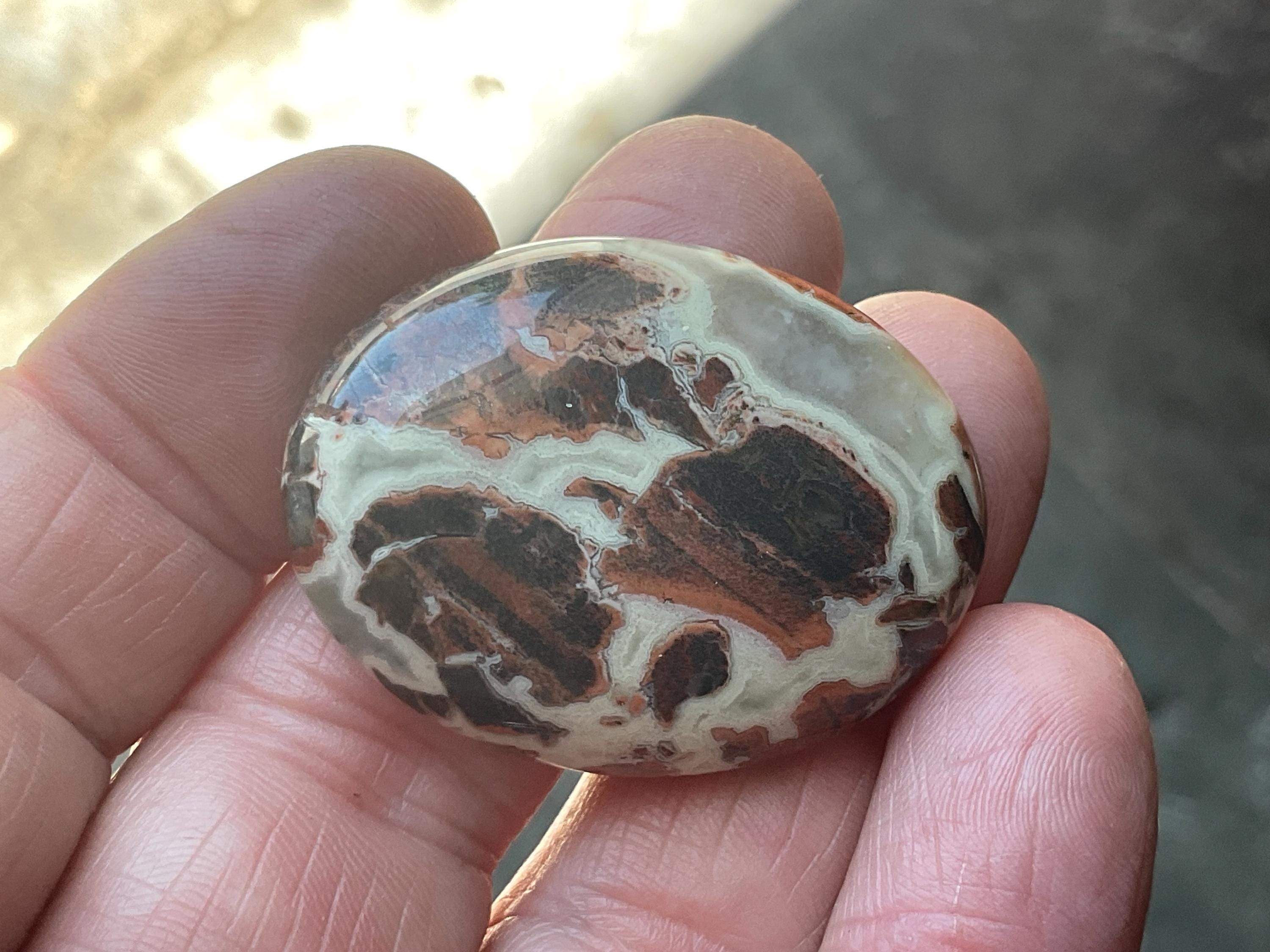18g “Money Agate” Thumb Stone