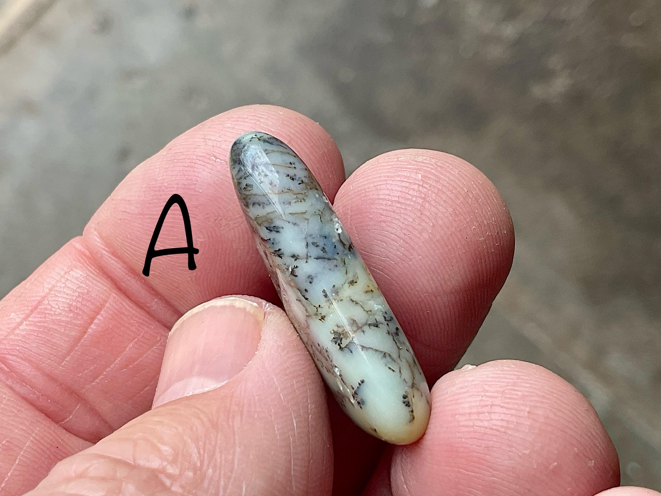 Grey/Green Western Australian Dendritic Opalite Flat Stone Group