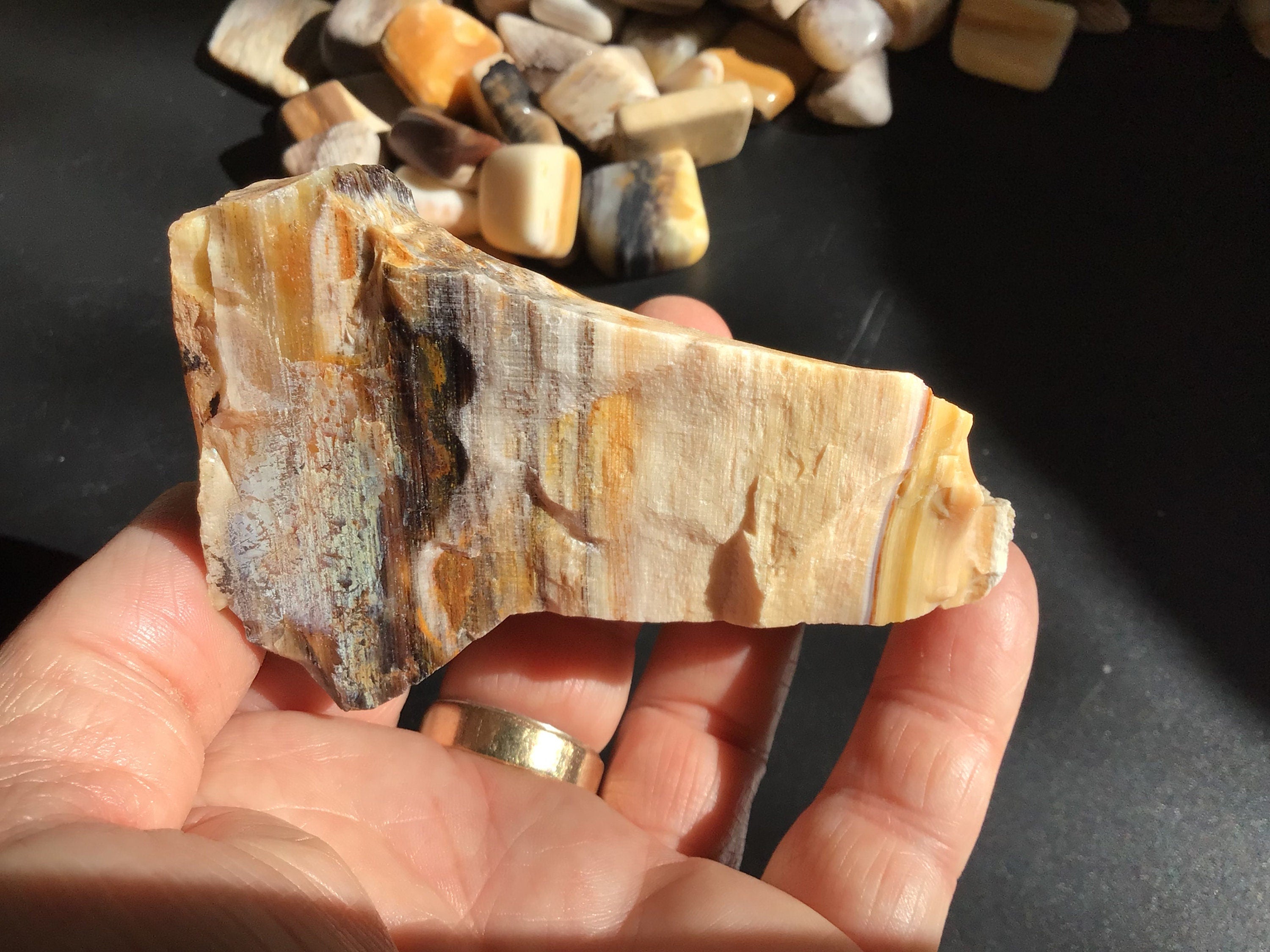 172g Natural Opalised Wood Rough Piece 6C