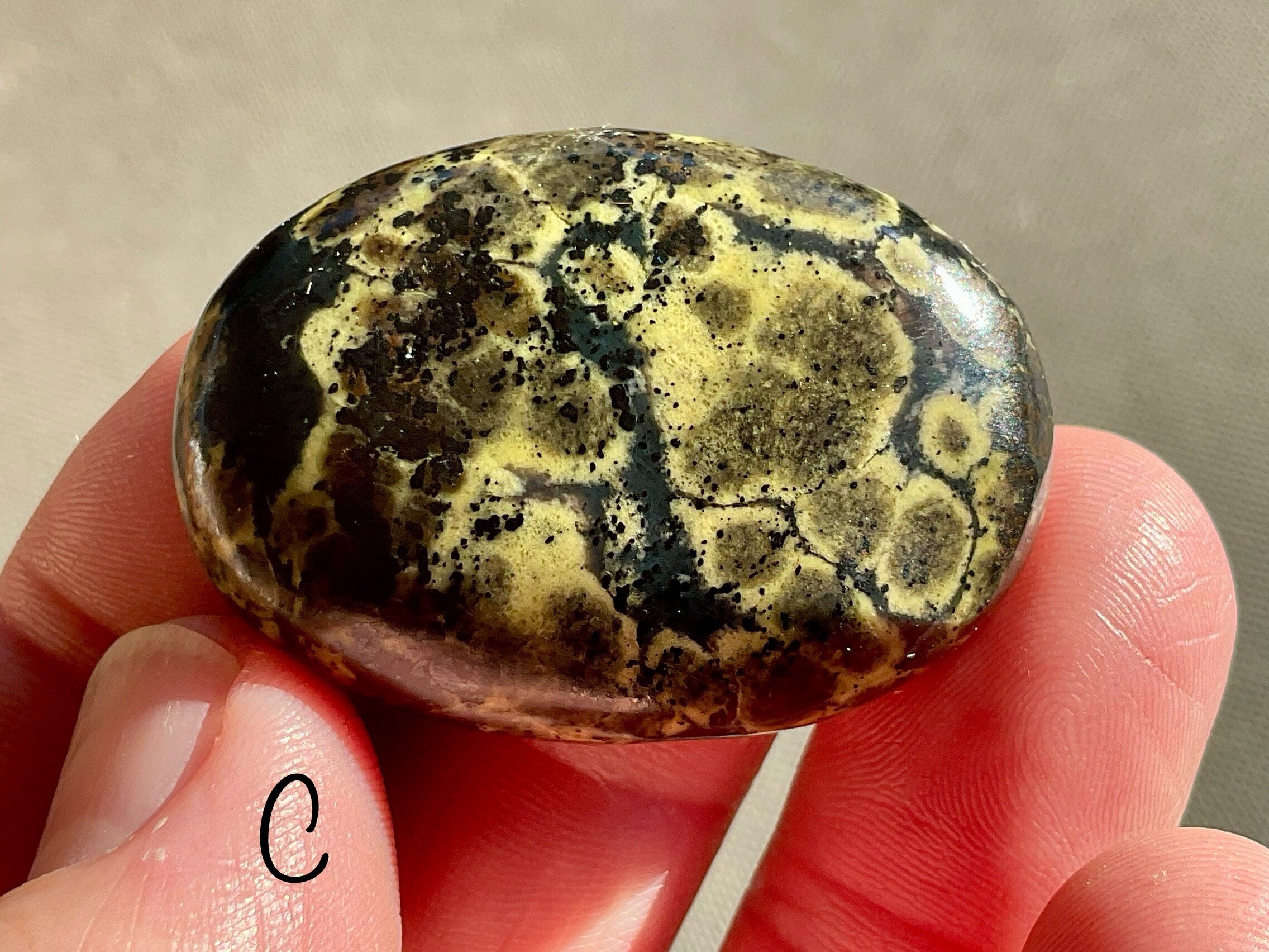 Pakistan Snakeskin Jasper Thumb Stone Group 6