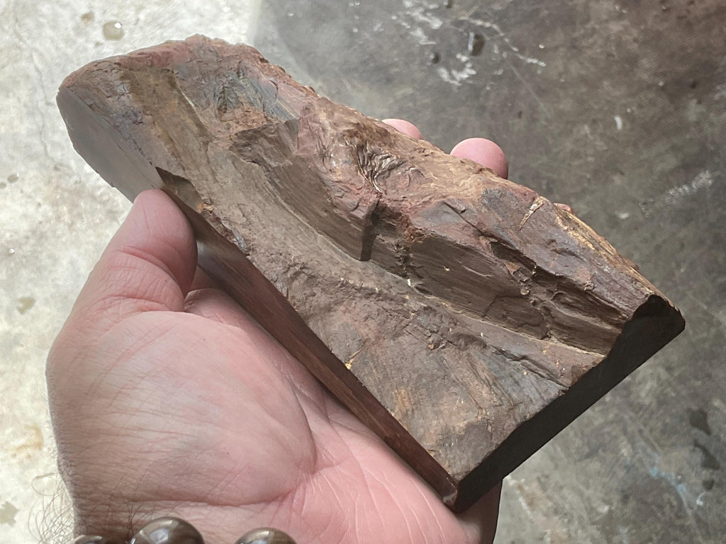 1,148g Unpolished Chinchilla Red Petrified Wood Split Pair