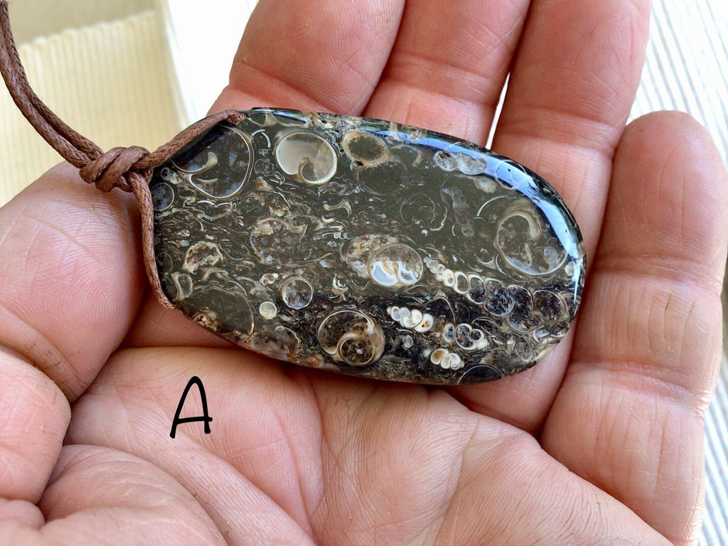 Large Turitella Agate Polished Pendant Group 3