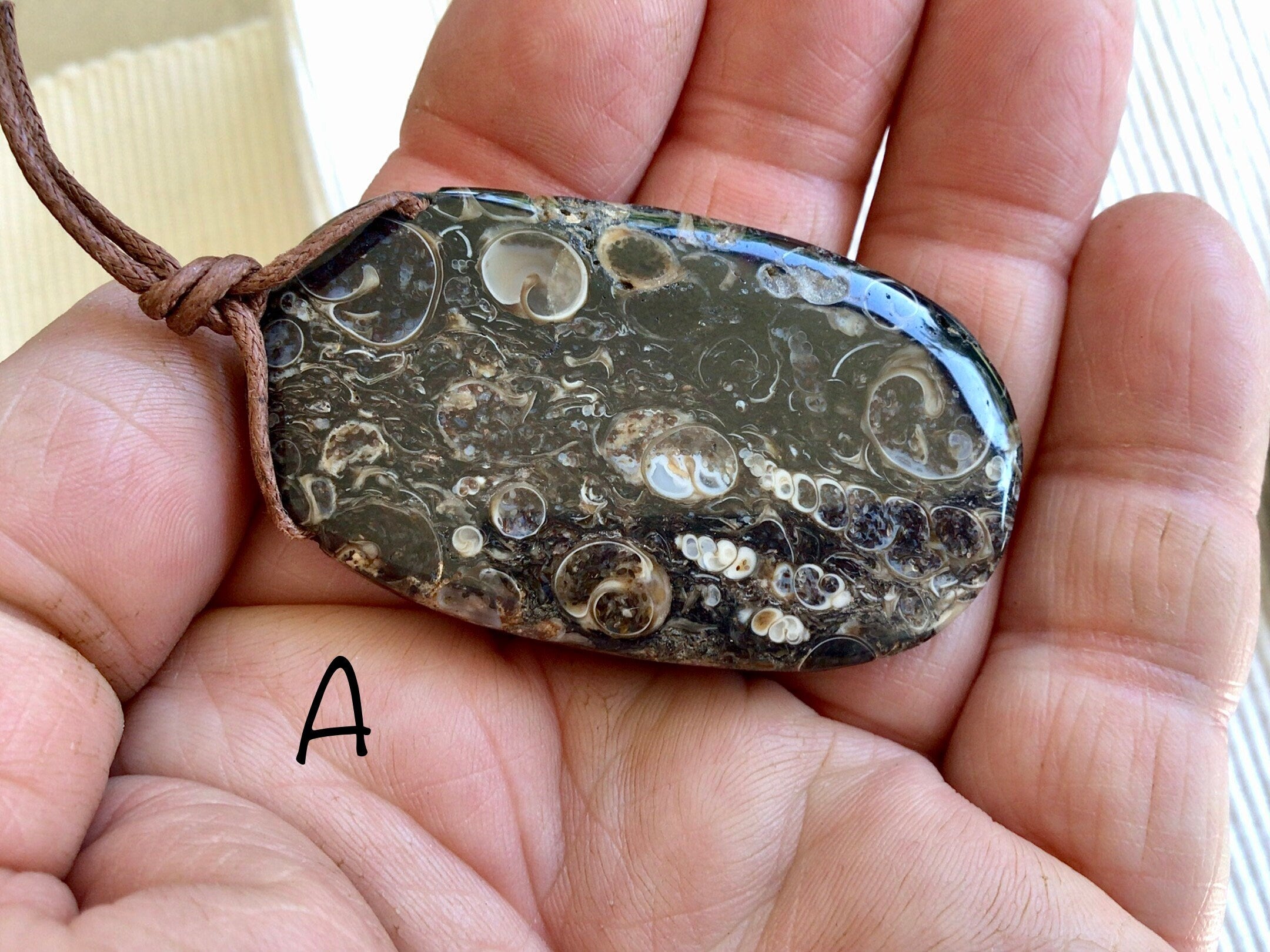 Large Turitella Agate Polished Pendant Group 3