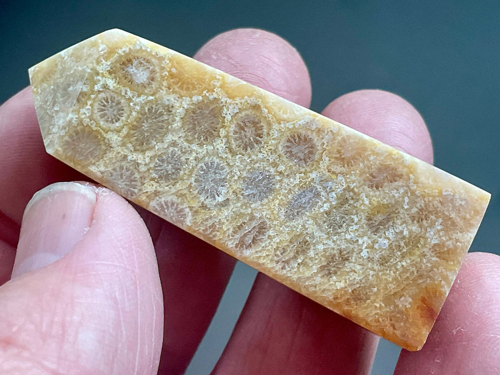 32g Fossilised Coral Generator 1B