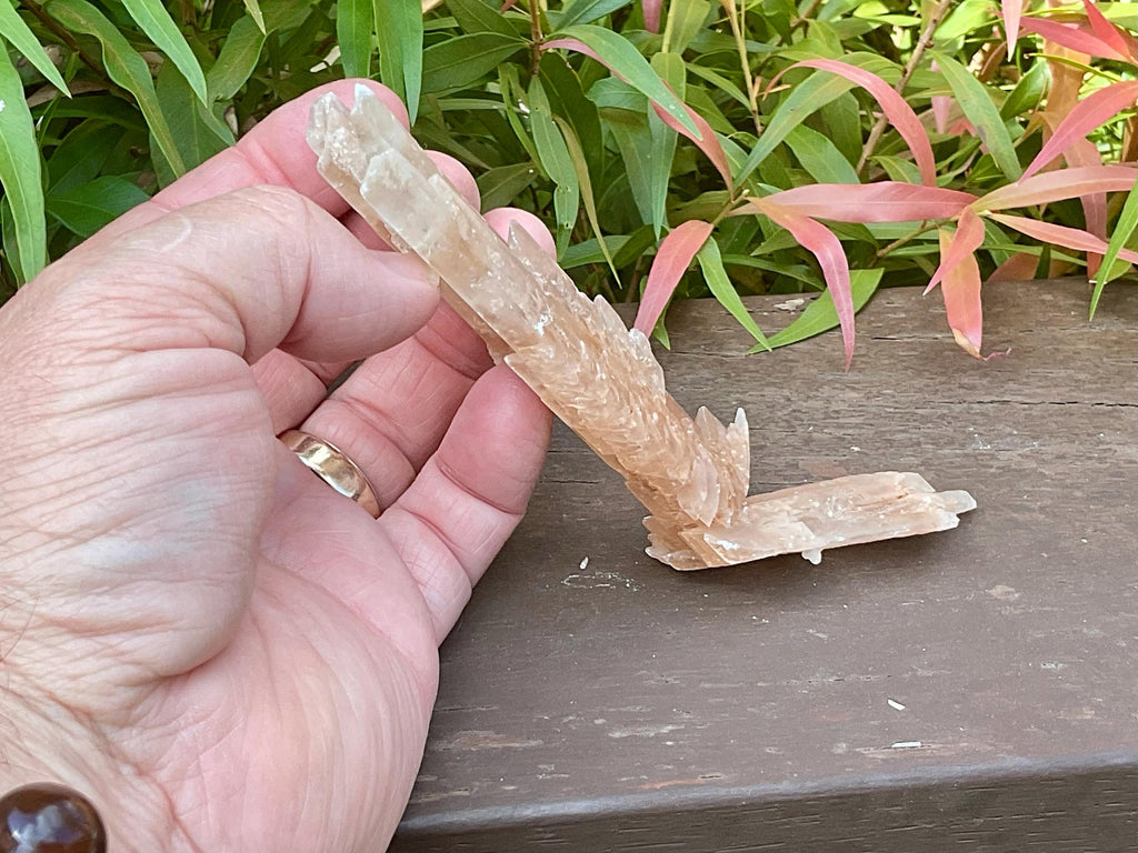 66g Gypsum (Selenite) Specimen from Lake Gilles, South Australia