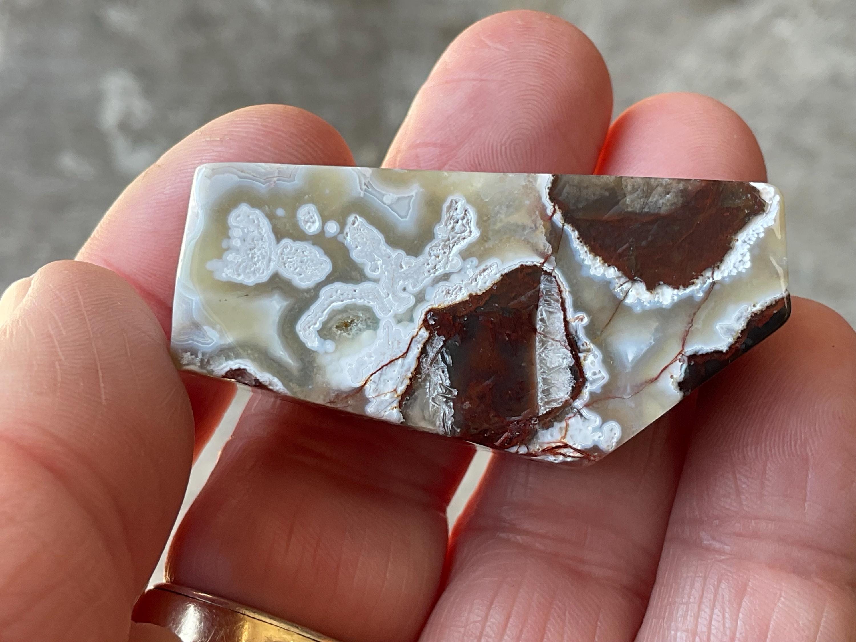 40g Mexican Crazy Lace Agate Freeform 10A