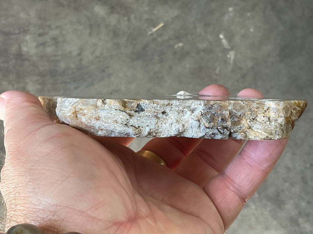 298g Fossilized/Agatised Coral Slab 4C