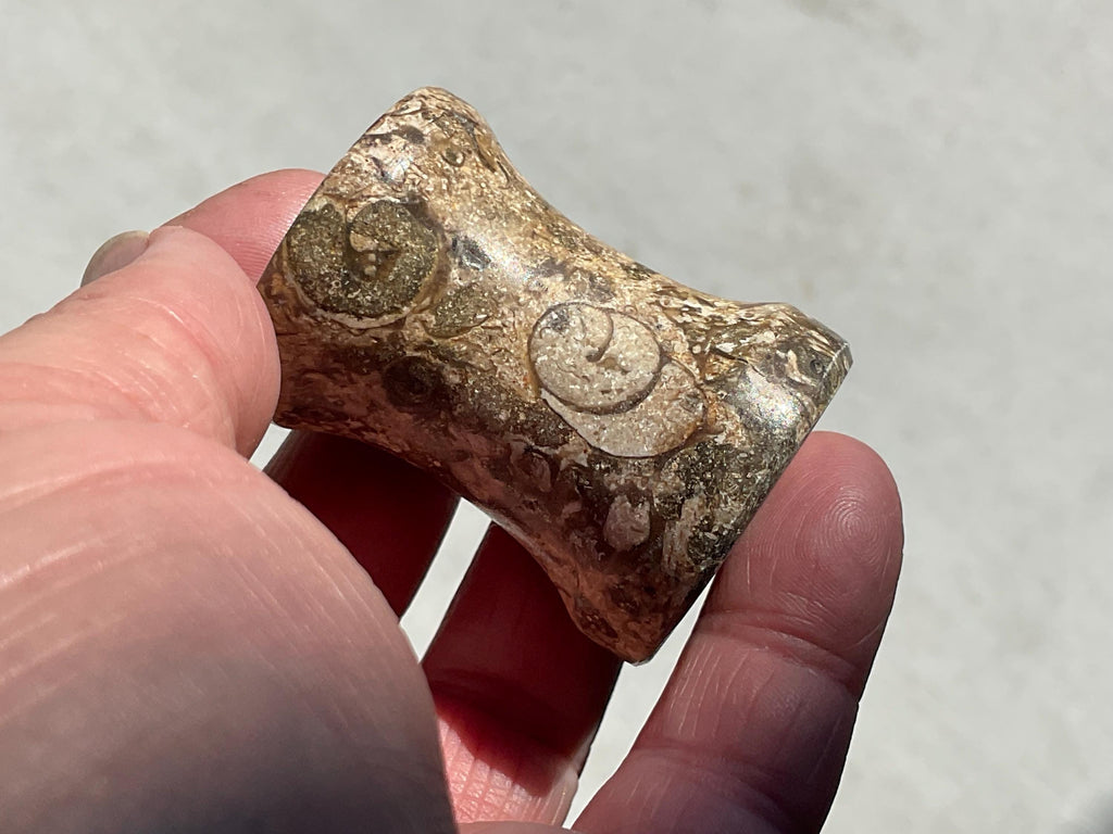 Fossilised Sea Bed Pedestal Sphere Stand 2A